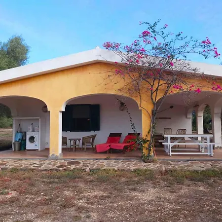 In - Nuoro オロゼーイ