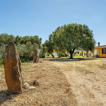 In - Nuoro * オロゼーイ