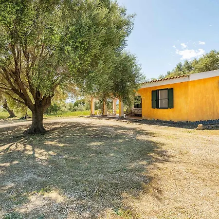 In - Nuoro オロゼーイ