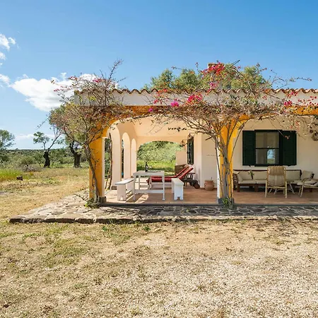 In - Nuoro ヴィラ